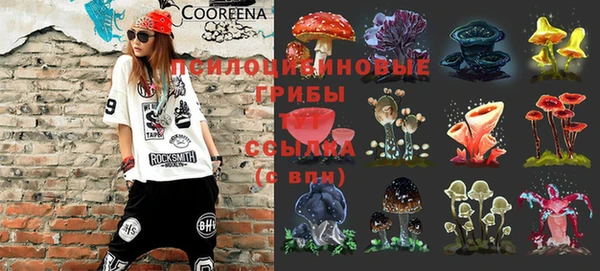 спиды Арсеньев