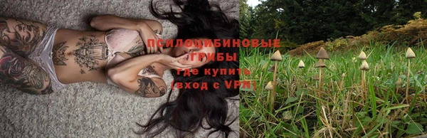 дмт Аркадак