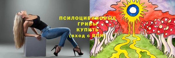 эйфоретик Армянск